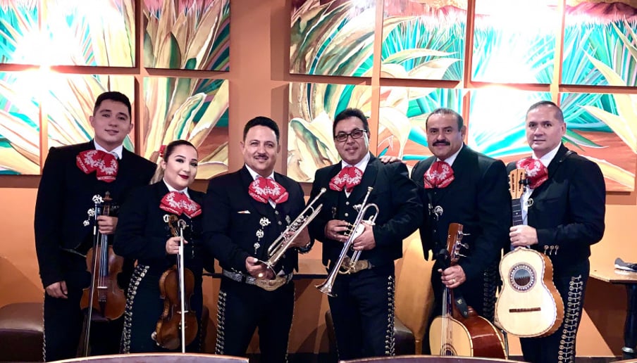 Gallery photo 4 of Mariachi Juvenil Nochistlan
