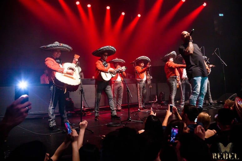 Gallery photo 2 of Mariachi Los Gallos