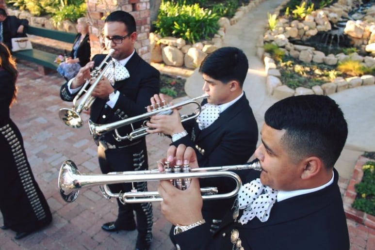 Gallery photo 1 of Mariachi los toreros