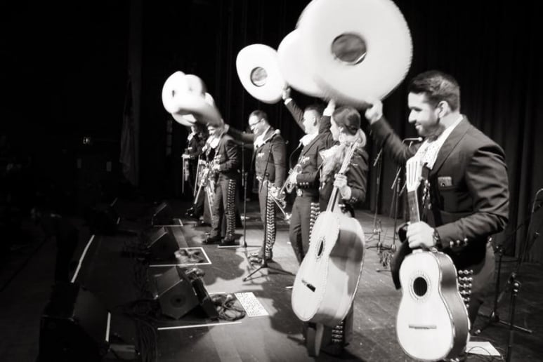 Gallery photo 3 of Mariachi los toreros