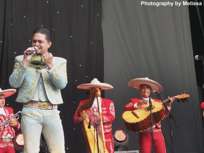 Gallery photo 3 of Mariachi Mexicanisimo