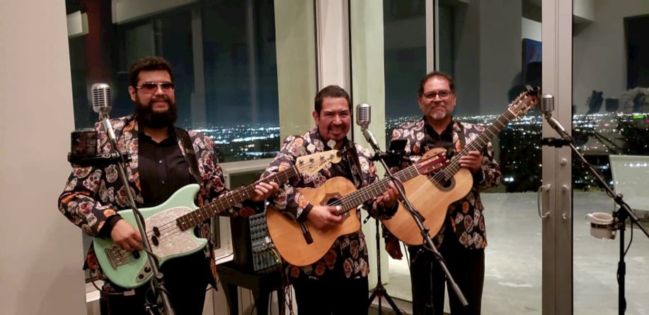 Gallery photo 3 of Los Mariachis de America & Trios