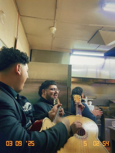 Gallery photo 4 of Mariachi Misterio DTX