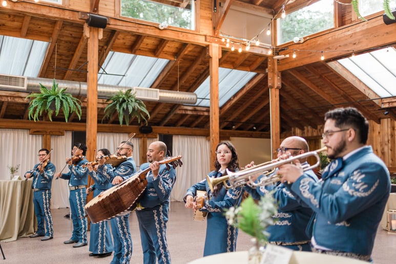 Gallery photo 10 of Mariachi Monarcas