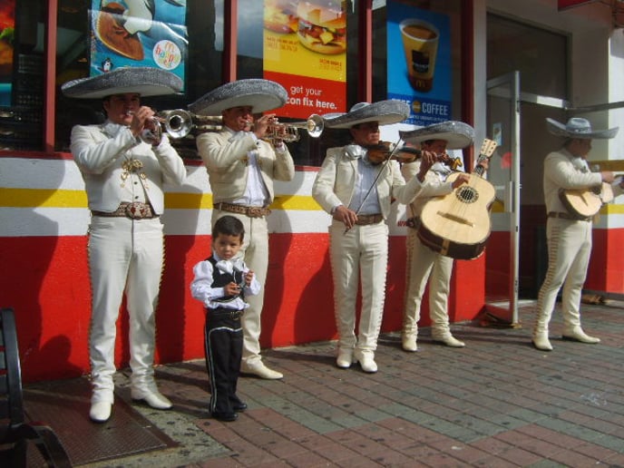 Gallery photo 13 of Mariachi Nuevo Mexico