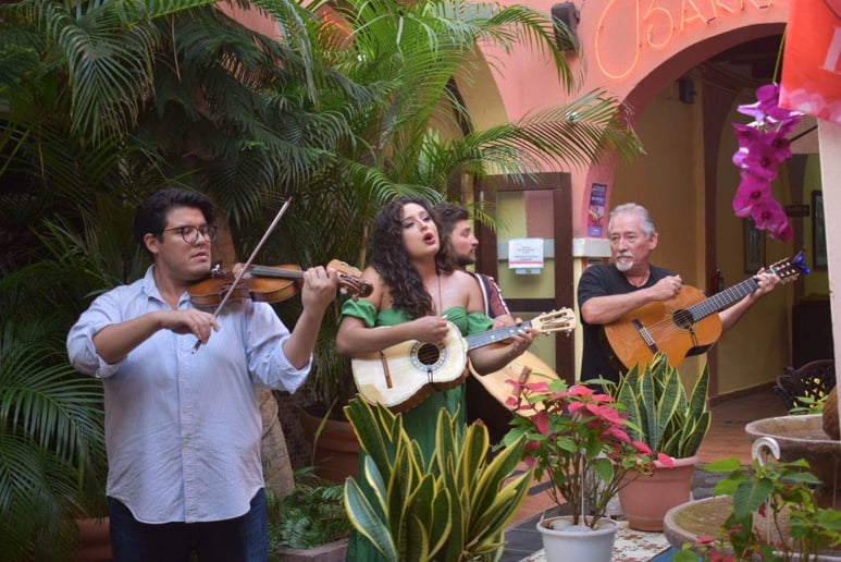 Gallery photo 3 of Mariachi Los Caballeros