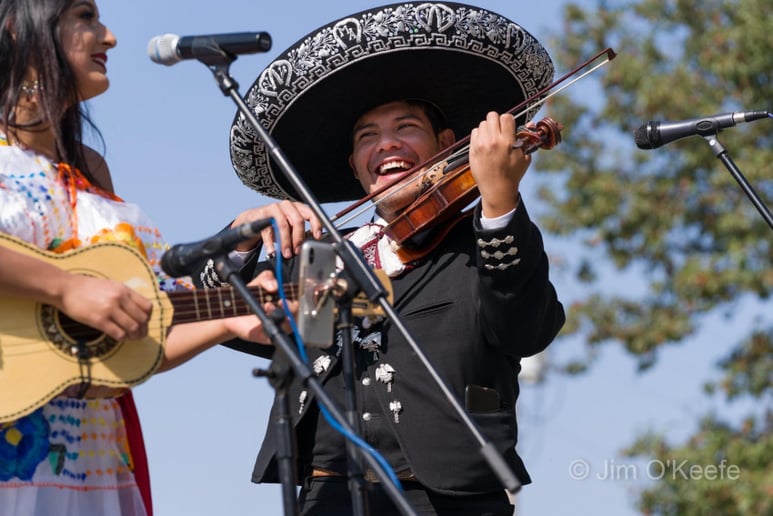 Gallery photo 4 of Mariachi Los Caballeros