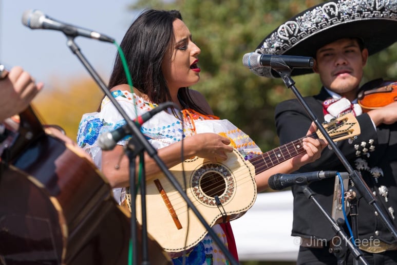 Gallery photo 5 of Mariachi Los Caballeros