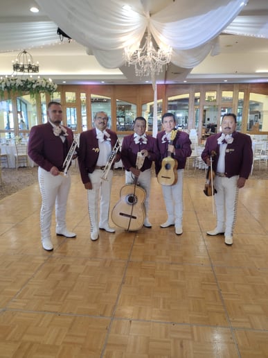 Gallery photo 3 of Mariachi Tequila Express