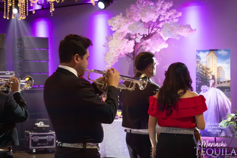 Gallery photo 37 of Mariachi Tequila DFW LLC