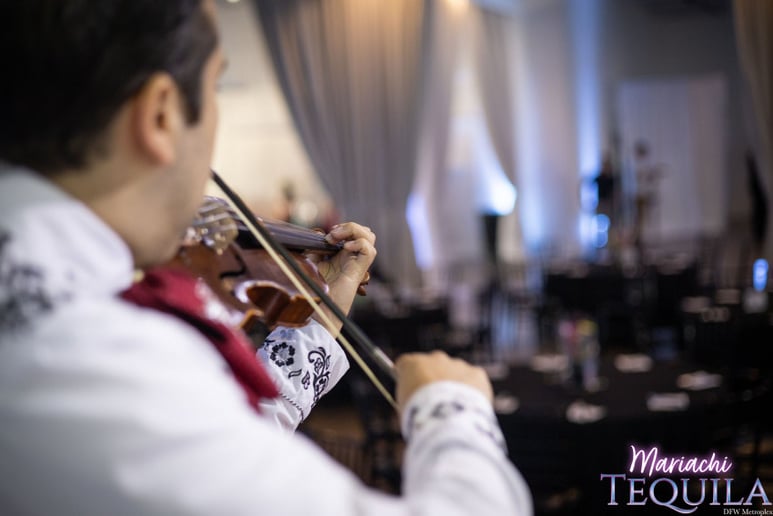 Gallery photo 51 of Mariachi Tequila DFW LLC