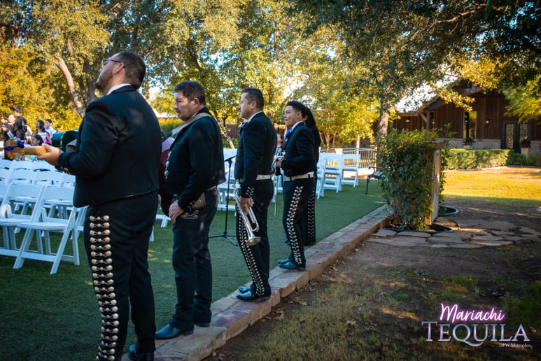 Gallery photo 57 of Mariachi Tequila DFW LLC