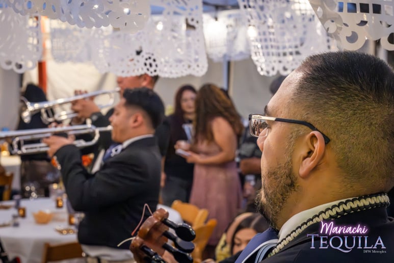 Gallery photo 62 of Mariachi Tequila DFW LLC