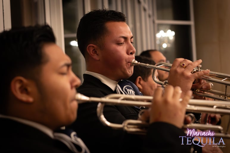 Gallery photo 63 of Mariachi Tequila DFW LLC