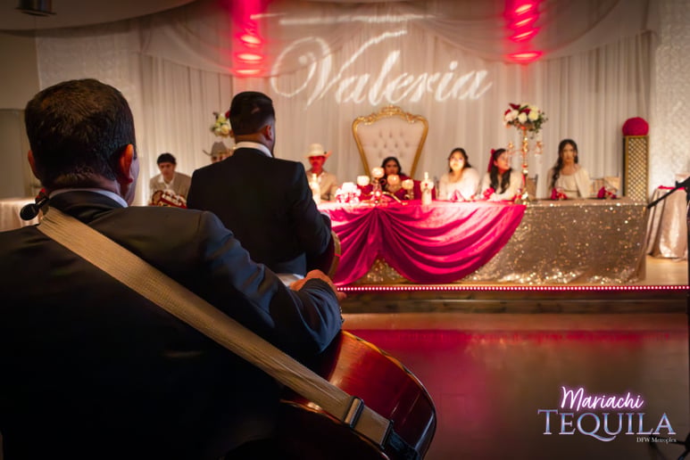 Gallery photo 71 of Mariachi Tequila DFW LLC
