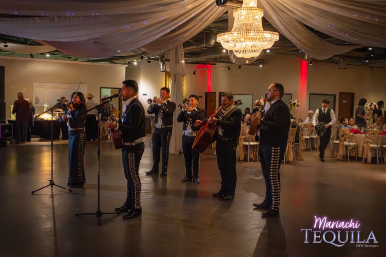 Gallery photo 72 of Mariachi Tequila DFW LLC