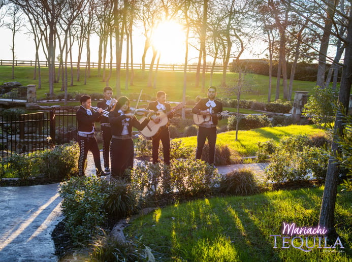 Gallery photo 76 of Mariachi Tequila DFW LLC