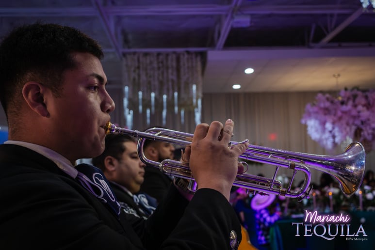 Gallery photo 27 of Mariachi Tequila DFW LLC