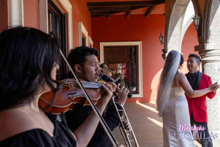 Gallery photo 14 of Mariachi Tequila DFW LLC