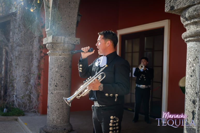 Gallery photo 22 of Mariachi Tequila DFW LLC