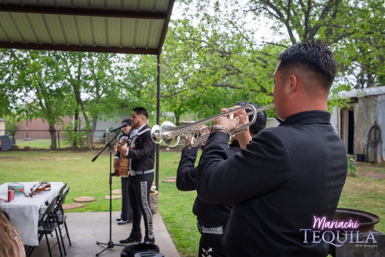 Gallery photo 97 of Mariachi Tequila DFW LLC