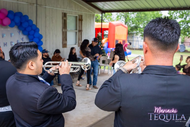 Gallery photo 48 of Mariachi Tequila DFW LLC