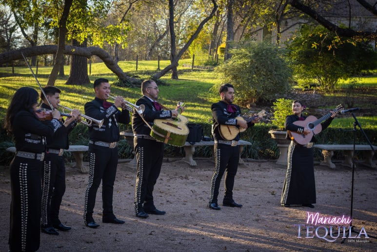 Gallery photo 7 of Mariachi Tequila DFW LLC