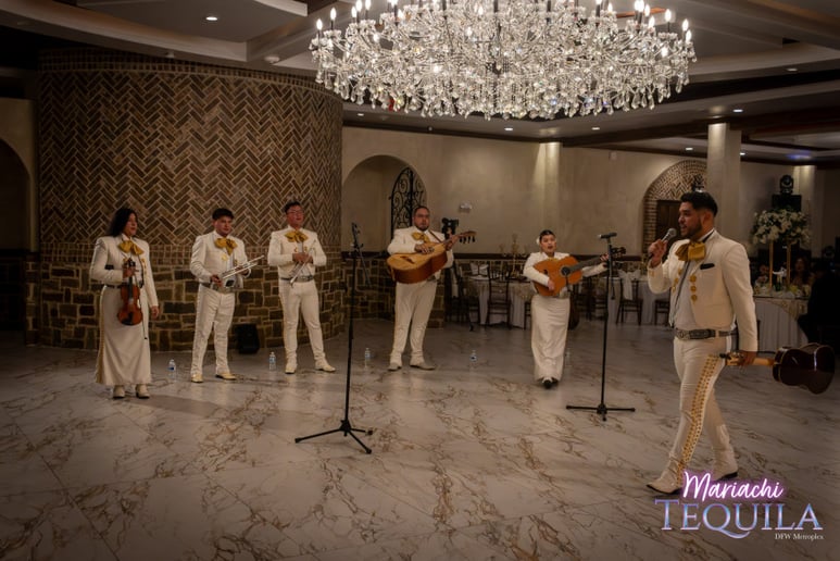 Gallery photo 9 of Mariachi Tequila DFW LLC