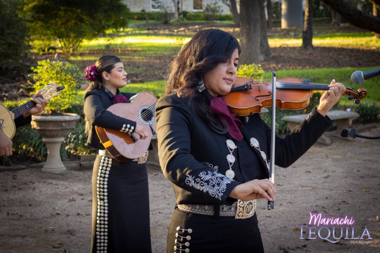 Gallery photo 10 of Mariachi Tequila DFW LLC