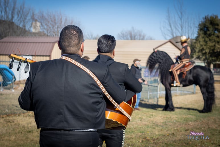 Gallery photo 19 of Mariachi Tequila DFW LLC