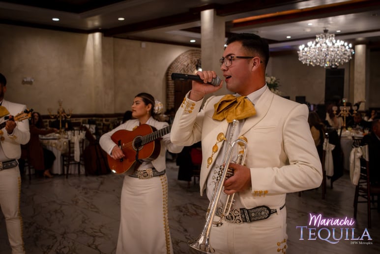 Gallery photo 15 of Mariachi Tequila DFW LLC