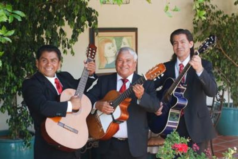 Gallery photo 16 of Mariachi Trio Estrellas De Oro