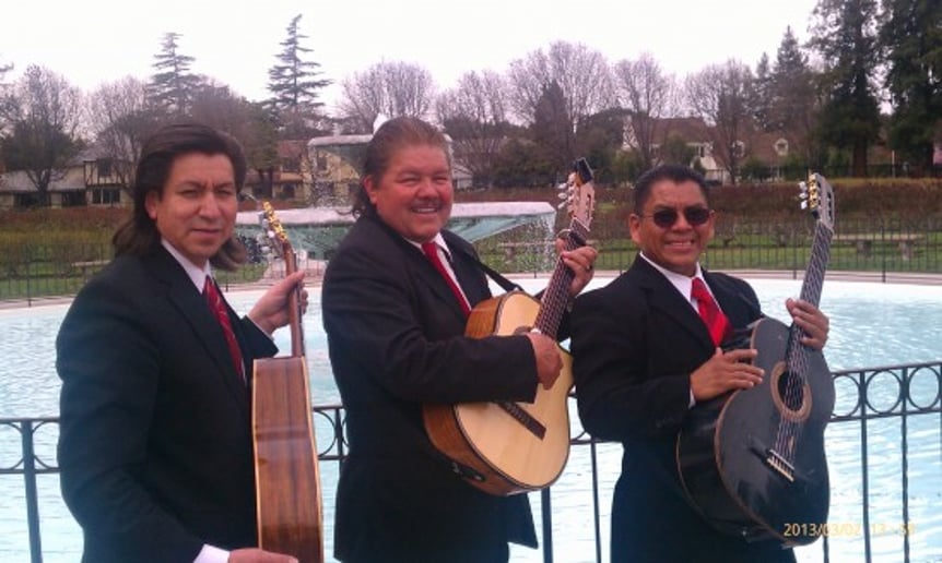 Gallery photo 12 of Mariachi Trio Estrellas De Oro