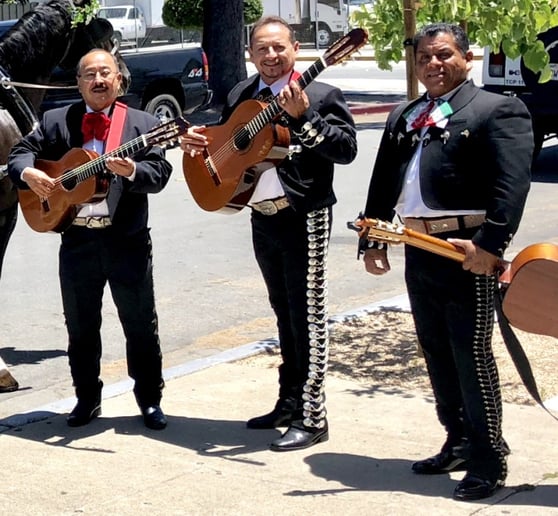 Gallery photo 3 of Trio Jalisco
