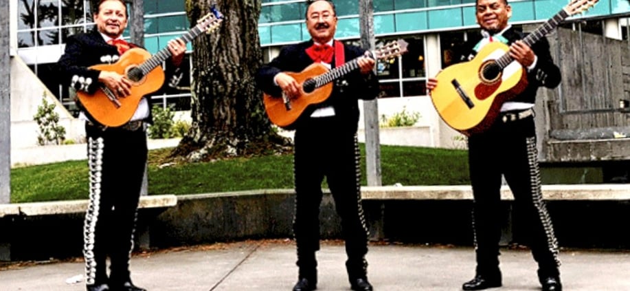 Gallery photo 7 of Trio Jalisco