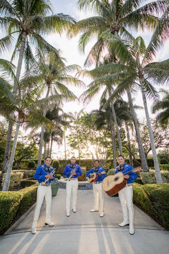 Gallery photo 8 of Mariachi Veracruz