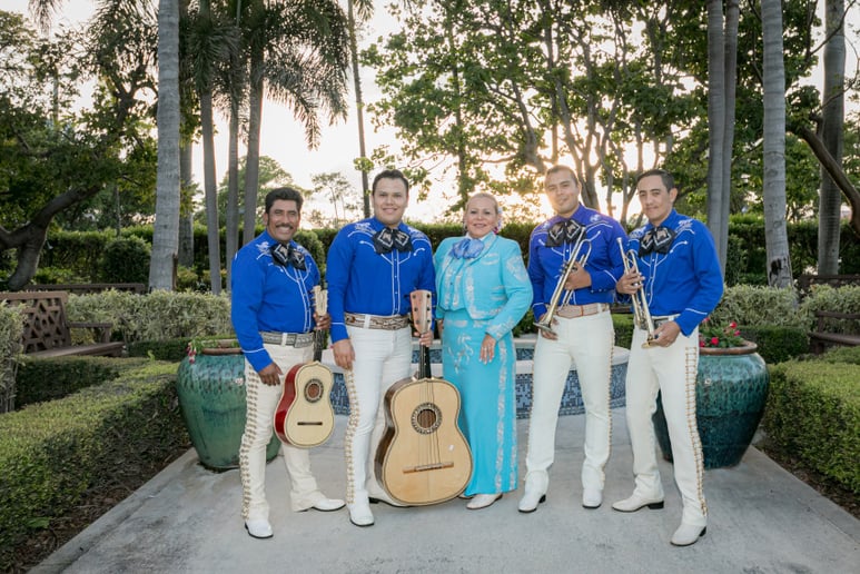 Gallery photo 2 of Mariachi Veracruz