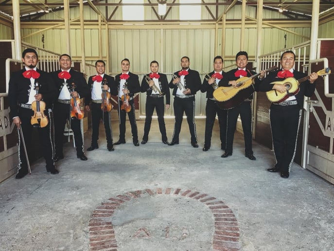 Gallery photo 1 of Mariachi Xochipilli