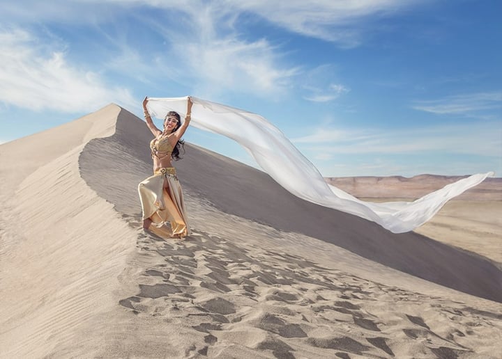 Gallery photo 1 of Mariana Bellydance NW
