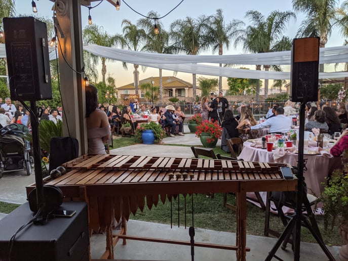Gallery photo 4 of Marimba Tropical