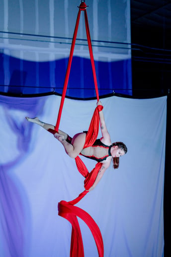 Gallery photo 8 of Marina Aerials
