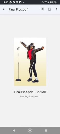 Gallery photo 4 of Mario MJ Tribute Artist