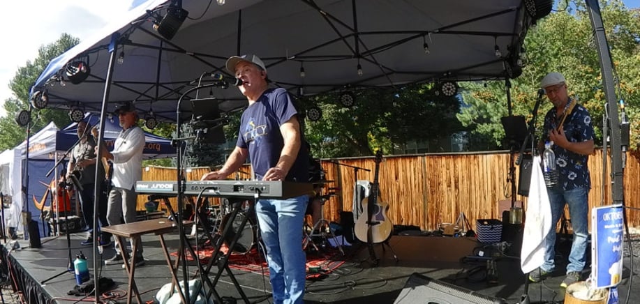 Gallery photo 4 of Mark Ham Band