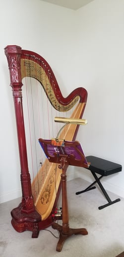 Gallery photo 1 of Markia Powell Harp