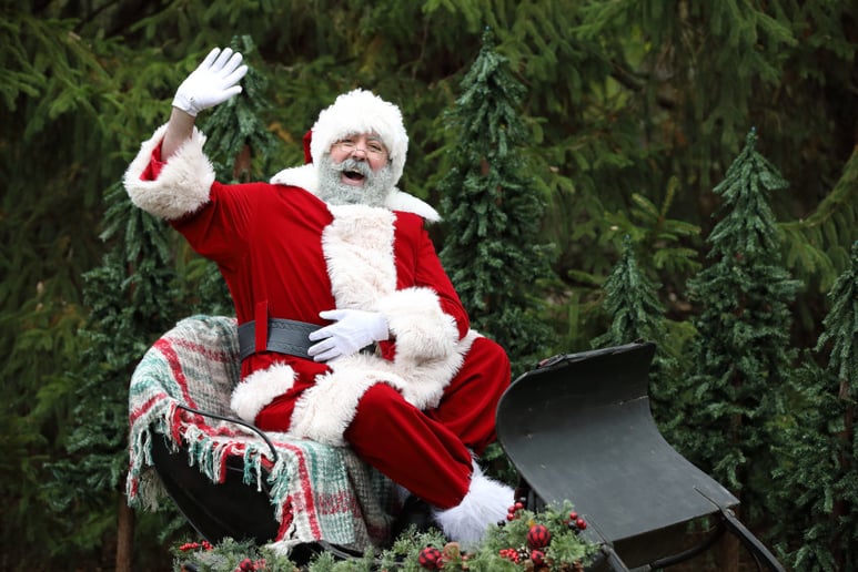 Gallery photo 6 of Married Santa and Mrs. Claus Team