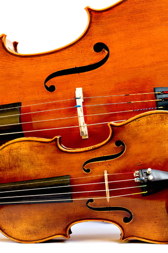 Gallery photo 13 of Marscia Luissa - Queen City Strings NC