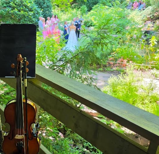 Gallery photo 16 of Marscia Luissa - Queen City Strings NC