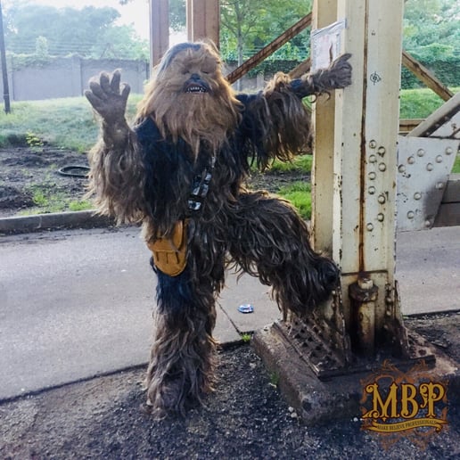 Gallery photo 41 of Make Believe Professionals