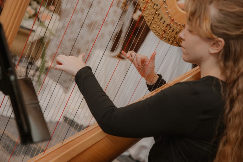 Gallery photo 2 of Martha Mapes, Harpist