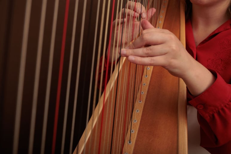 Gallery photo 3 of Martha Mapes, Harpist